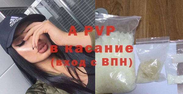 стаф Горно-Алтайск